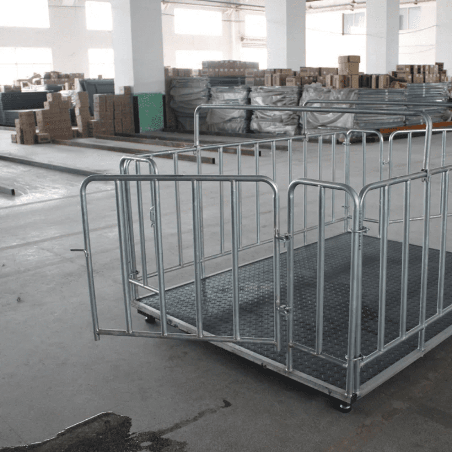 Animal Gated Floor Scale with A12 Display in Nigeria | Livestock Weighing Scale