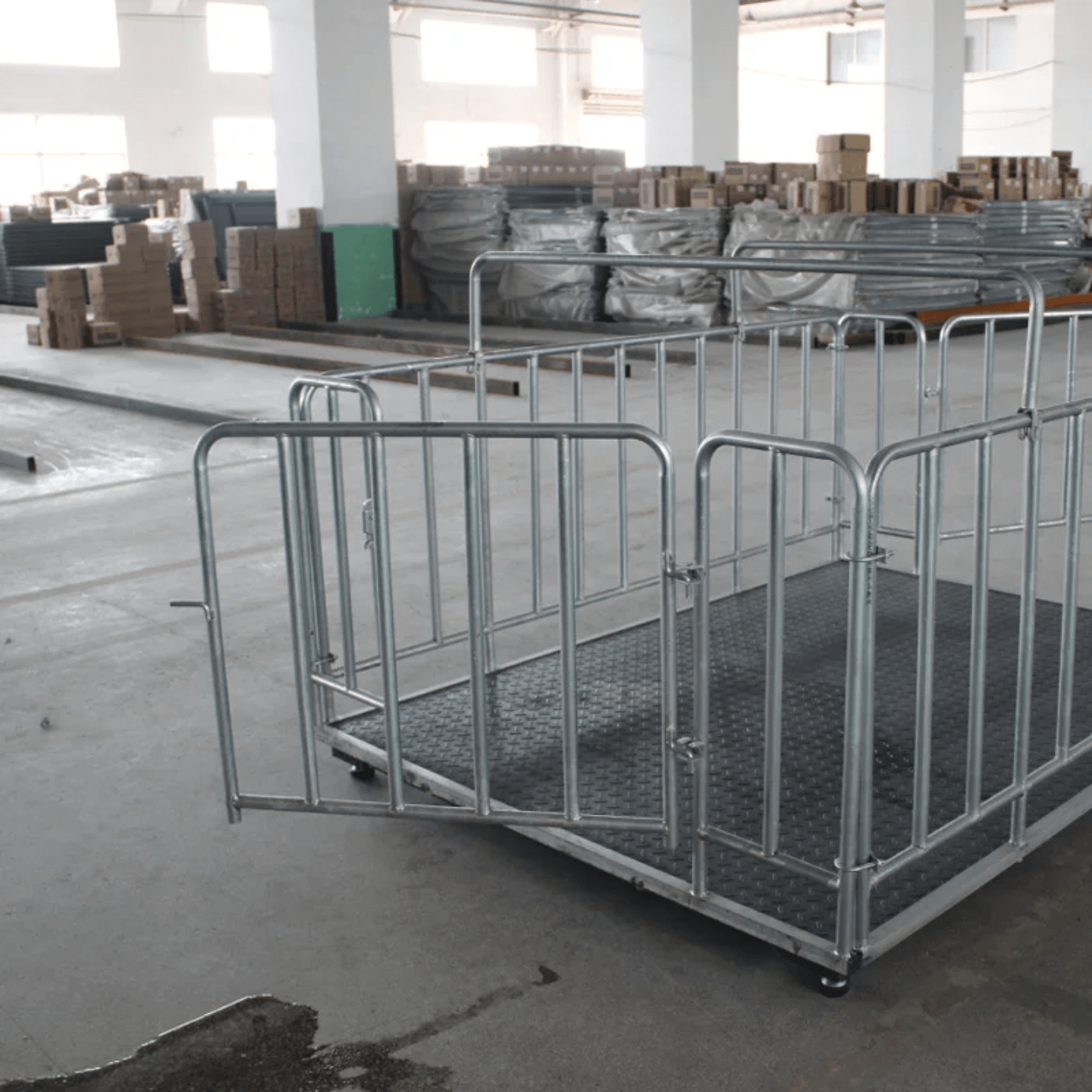 Animal Gated Floor Scale with A12 Display in Nigeria | Livestock Weighing Scale